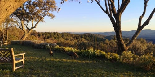 La Garde Freinet Domaine des Chenes de la Galline - Chambre d'hotes St Tropez - jardin 
