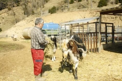 Finca Cal Tarré - alojamientos turísticos, Campdevànol, Cataluña, España
