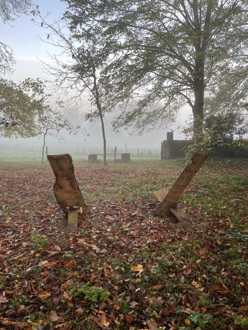 Le jardin en automne - Domaine du Plessis Grimaud Gîtes et chambres d'hôtes Nantes Pornic