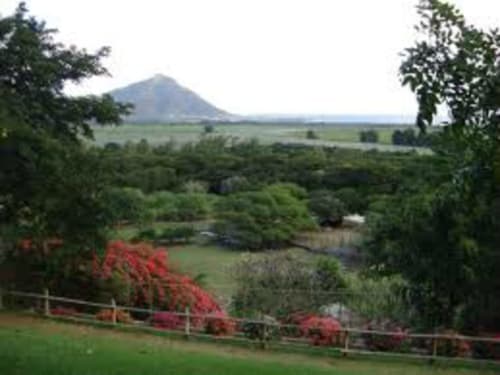 Villa Mauridul - Casela Nature - Ile Maurice


