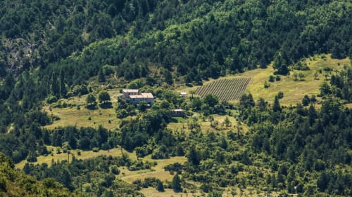 Vue aérienne du gîte Entre Terre Et Ciel niché dans les collines boisées près de Rémuzat, avec vignobles et prairies verdoyantes