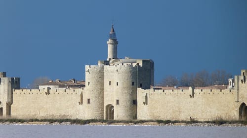 Les gîtes du Mas Gibert - Aigues Mortes et les Salins du Midi à faire en petit train- Gard