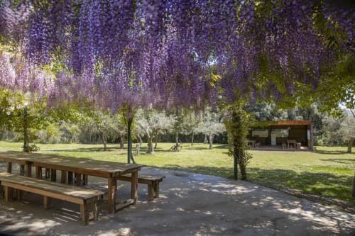 Apartaments i celebracions | Espai Valldevia - Valldeviá
