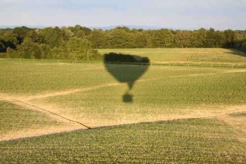 des étendues de verdure a perte de vue