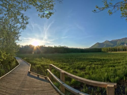 les Marais de Lavours vous accueille cet été sur le sentier sur pilotis