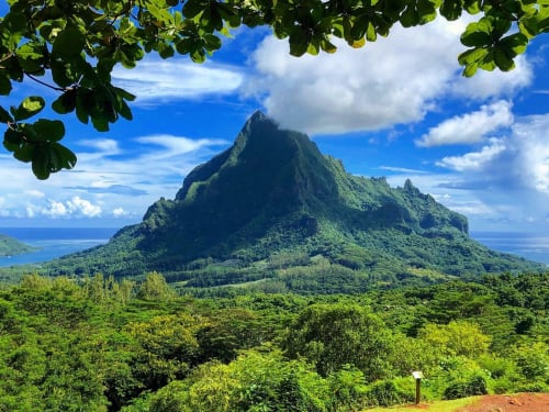 belvedere, moorea lodge, Tahiti