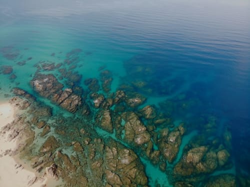 Crique 5 min en voiture de la résidence / Roche/ Snorkeling /Paradis / eau Limpide 