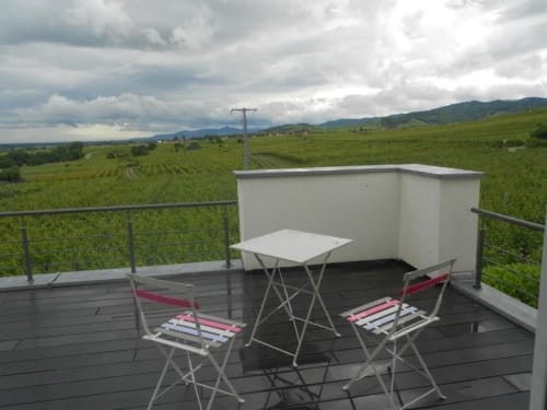 Au coeur du Vignoble - Chambre d'hôtes vue vignes - Orschwiller - Alsace