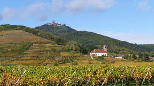 Au coeur du Vignoble - Village de Orschwiller en Alsace