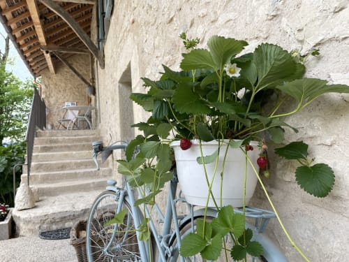 velo-gourmand-fraises-d'été-gite.lepasdemoineau