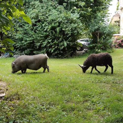 La ferme, La verdine, roulotte, hébergements, Aisne.