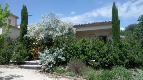 Chambre Camélia - Mas de Molines - Chambre d'hôtes - Vogüé - Ardèche