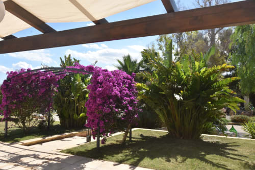 Limone | Apartment for 5, Masseria Giulio, Holiday Apartments Francavilla Fontana, Puglia, swimming pool, garden, private bathroom, king bed, single beds