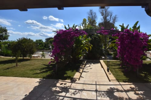 Albicocca | Apartment for 3, Masseria Giulio, Holiday Apartments Francavilla Fontana, Puglia, swimming pool, garden, private bathroom, twin bed, single bed