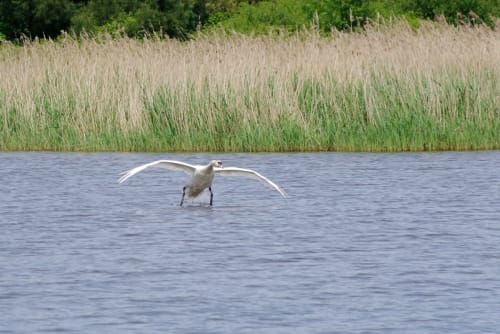Gîte Porte Saint Martin - Parc naturel de la Brenne