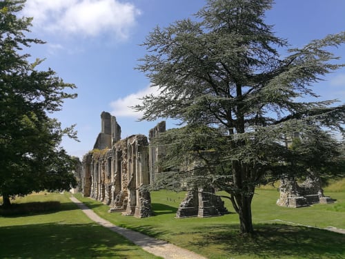 Haydn House - Glastonbury - Guest room - Abbey Ruins