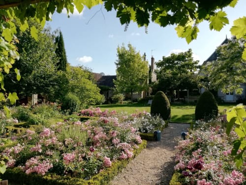 Petit Villandry squares in bloom