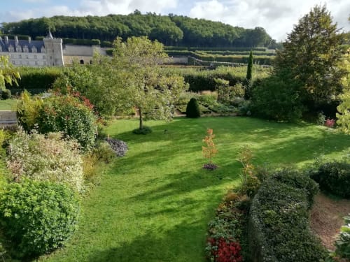 Spring in the gardens of Villandry