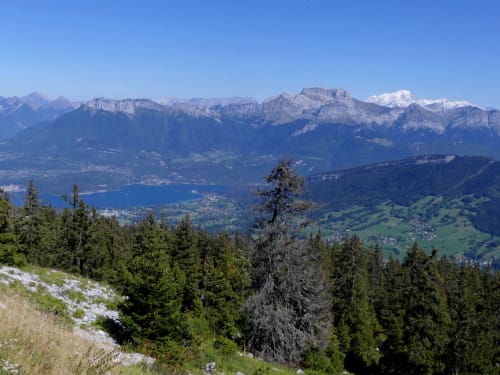 Le Semnoz - point de vue Annecy - La Pepite du Semnoz 