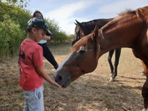 Chevaux, enfant et cheval, Equi-lodges, logements insolites, chambres, Fraisnes-en-saintois,Meurthe-et-Moselle, Grand Est.