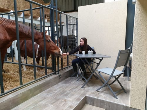 Chevaux, boxes, repas avec les chevaux, petit déjeuner avec des chevaux, Equi-lodges, logements insolites, chambres, Fraisnes-en-saintois,Meurthe-et-Moselle, Grand Est.