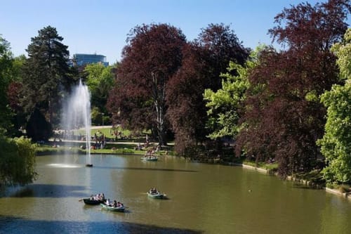 R appartements - Strasbourg - location d'appartements- Appartement Orangerie Cosy- meublés de tourisme Strasbourg- appartement T4- parc de l'Orangerie- Orangerie Strasbourg- canotage- lac artificiel- pavillon Joséphine- zoo- aire de jeux- glaciers- bowling- aire de pique-nique- table de ping-pong- institutions européennes- jogging- aire de musculation- manège voitures- 