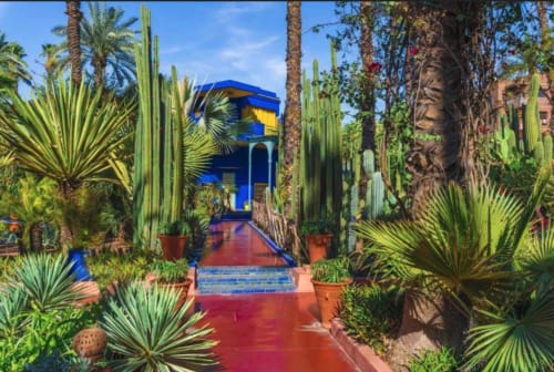 Riad Matham - Marrakech - Jardin Majorelle