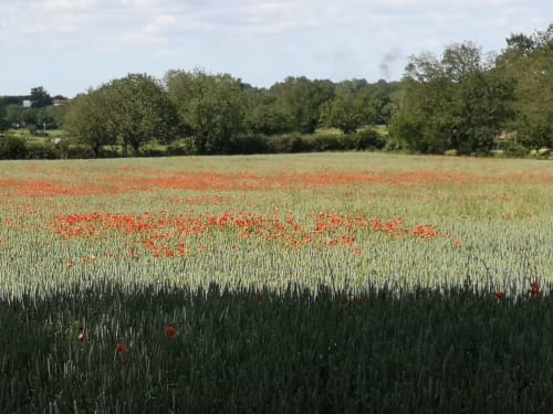 Gîtes de La Turlure - Bressuire - visiter la nouvelle aquitaine
