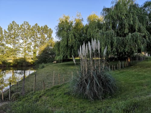 Gîtes de La Turlure - Bressuire - balade dans la nature