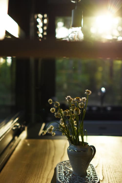 Beauté d'une Tiny House dans le Berry Sologne
