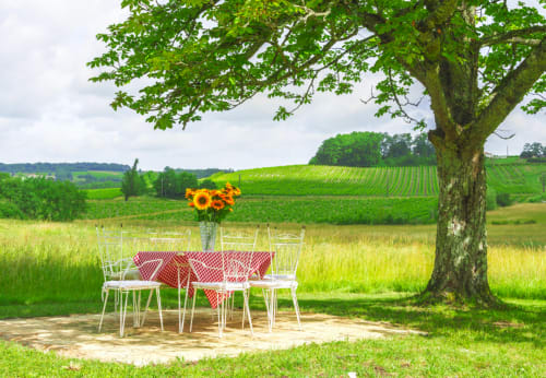 Table de pique-nique à nappe à carreaux rouges et tournesols sous un chêne au gîte rural Manoir Le Coutureau à Rouffignac,