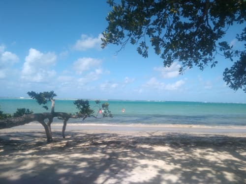 Le lagon au milieu de bon temp ca donne de l'envie de sortir