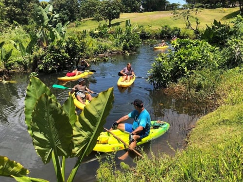 Profite de journée en KAYAK