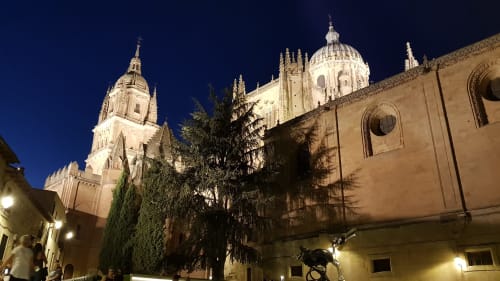 Descubre Salamanca | Vinarius Posada Rural - Castellanos de Villiquera, Salamanca
