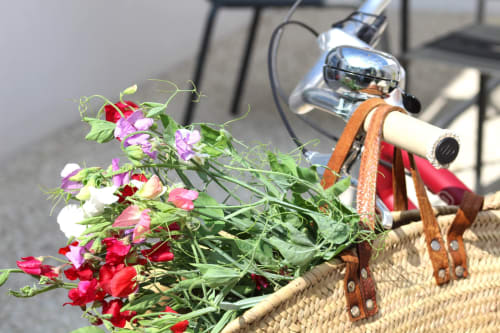 Colorful flowers on vintage bicycle at Le Clos des Vieux Moulins villa in La Flotte