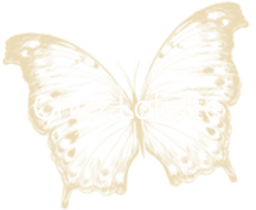 lodging luz-saint-sauveur
