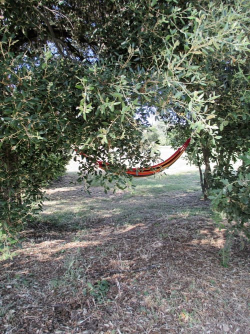 Hamac rouge suspendu entre les oliviers du gîte Le Mas du Fort à Gargas, France