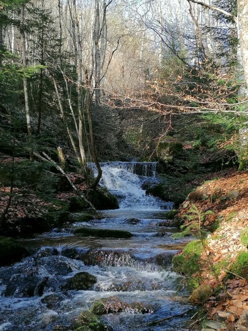Ruisseau forestier paisible avec cascade d'eau près du gîte Furanelle à Saint Etienne, France