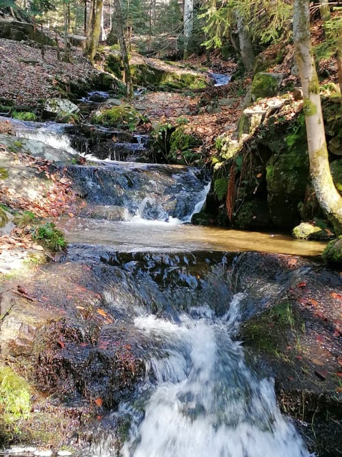 Ruisseau en cascade du Gîte Furanelle avec rochers couverts de mousse, Saint Étienne