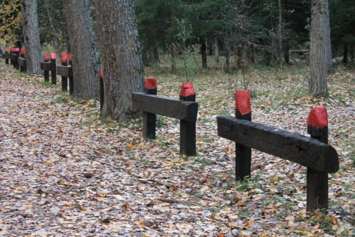 Paseo por el Bosque Finlandés en Rascafría.