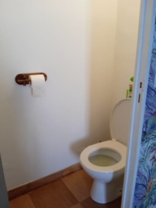Salle de bain avec toilettes blanches et porte-rouleau en bois marron à l'hôtel Varette Patricia, Saint-Floxel