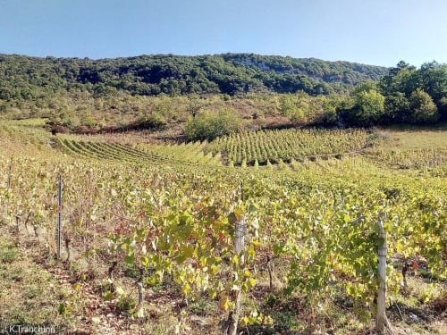 les vignobles , il vous invite à traverser des villages au détour de petites routes ravissantes