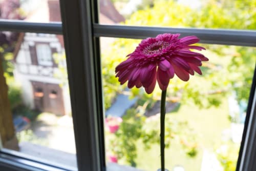 A warm and bright atmosphere, carefully chosen decorative details in our tourist accommodation near Strasbourg.