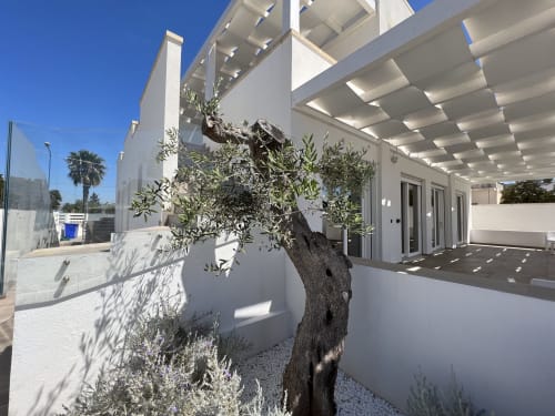 Elite Luxury Residence | Emblema Appartamenti Case Vacanza Torre Suda, Puglia, Gallipoli, Salento, piscina, vacanze, mare, Maldive del Salento, giardino