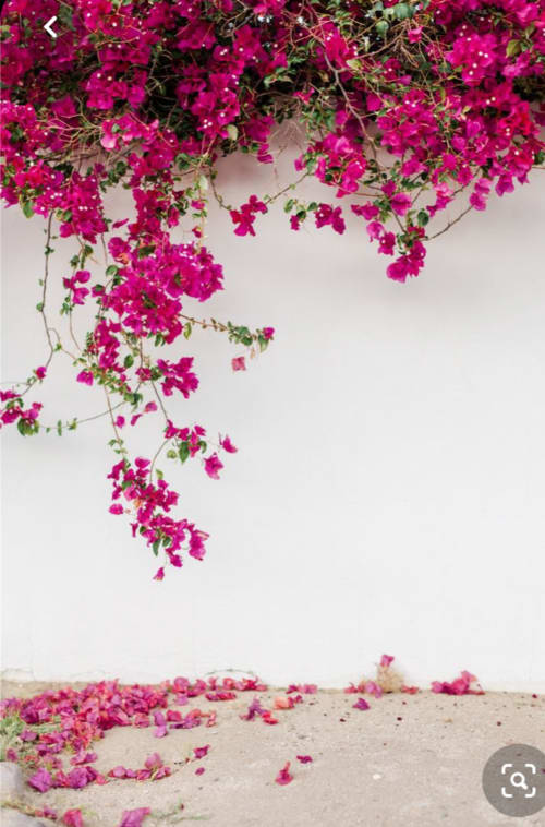 Holiday Villa - Cala d'Or, Mallorca