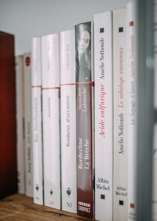 Bibliothèque avec collection de littérature française au gîte Manoir Le Coutureau à Rouffignac de Sigoules