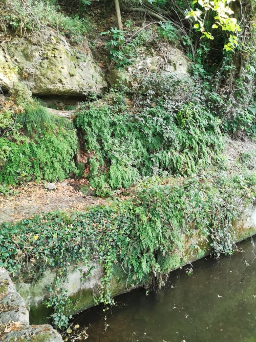 Structures en pierre recouvertes de mousse au bord de l'eau au Domaine à l'Aise, Saint-Pargoire