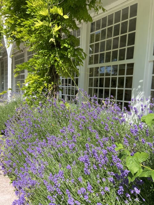 Hôtel, Restaurant, Le Clos Normand, Parc, Dieppe, Martin-Eglise, Normandie, Seine-Maritime, restaurant gastronomique, séjour normand, côtes normandes, Parc, Fleurs, rivière, terrasse, salle réception, mariage