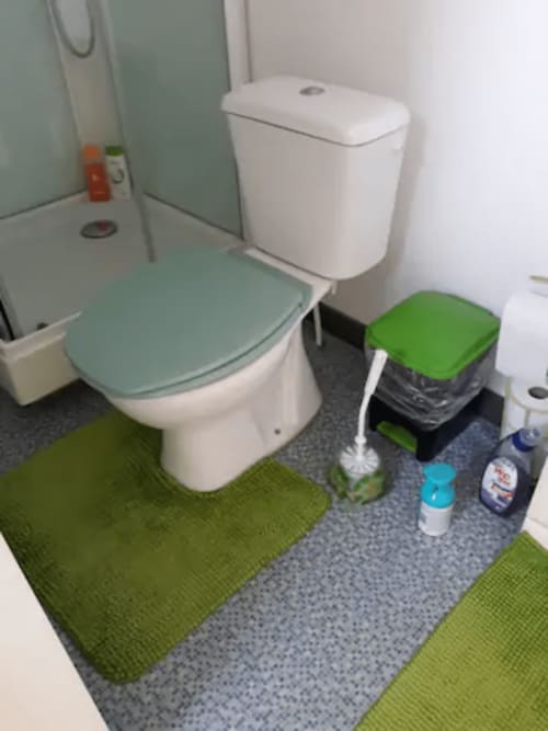 Salle de bain moderne de l'appartement Résidence Mantekila à Marcinelle avec toilettes blanches, abattant vert sage, tapis de bain vert et produits de nettoyage