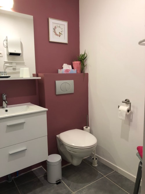 Salle de bain moderne à La Ferme du Bonheur à Arbigny avec mur accentué bordeaux, sanitaires blancs et toilettes